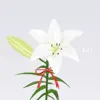 Asitakarahonnki - Lily - Single